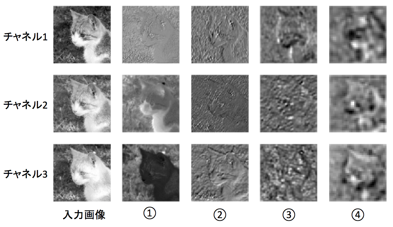猫画像を入力した時の中間層
